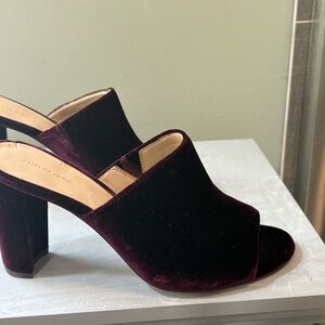 Ann Taylor Velvet Block Heel Mules - Burgundy